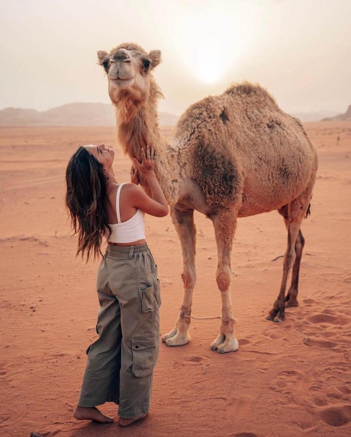 Sun Luxury Camp &Tour Lägenhet Wadi Rum Exteriör bild