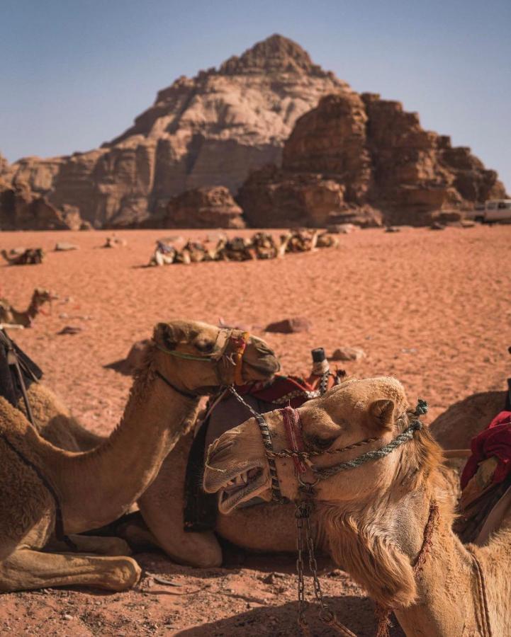 Sun Luxury Camp &Tour Lägenhet Wadi Rum Exteriör bild