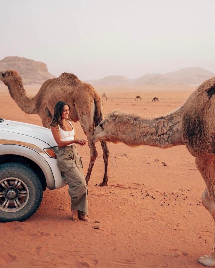 Sun Luxury Camp &Tour Lägenhet Wadi Rum Exteriör bild
